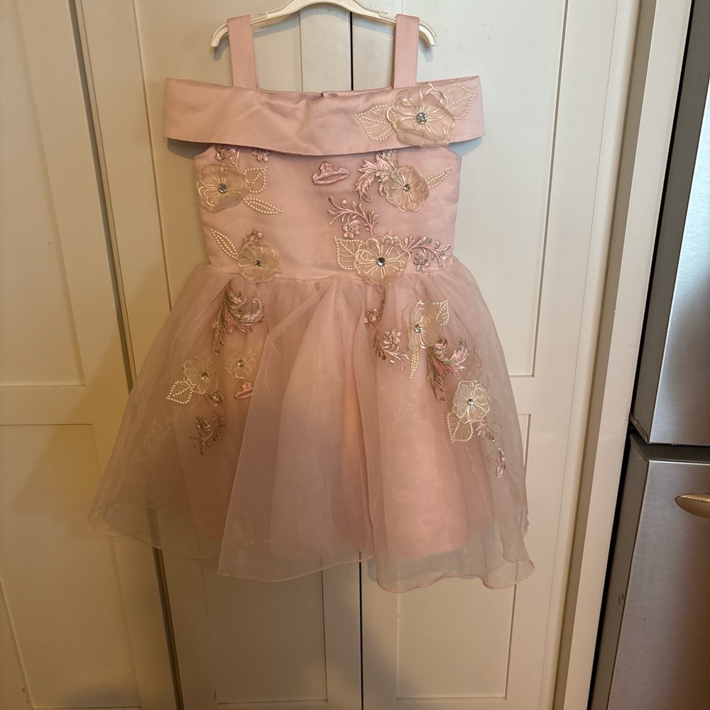 Girls Aurora Disney Pink Floral Embroidered Party Dress